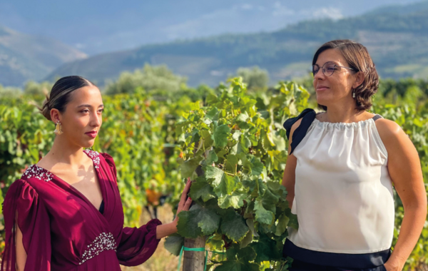 artistas_nossa_terra_encanto