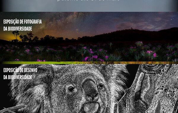 fiinitinerante_2024_descricao