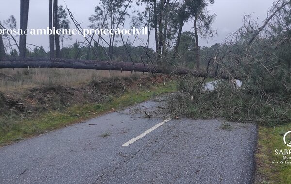 site_ambiente_e_protecaocivil_01