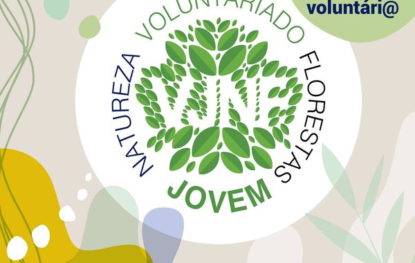 487402977_1391444795387505_8643461190305584387_n