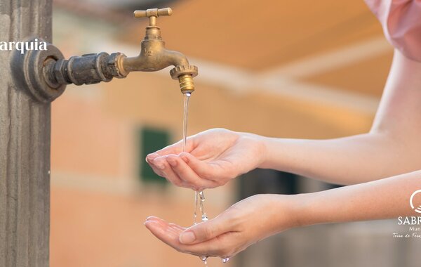 site_noticia_adin_01