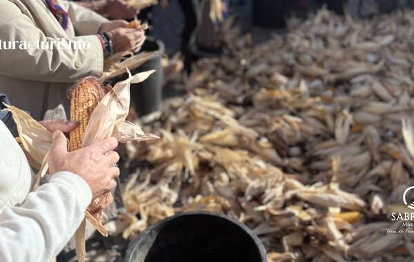 site_desfolhadatradicional