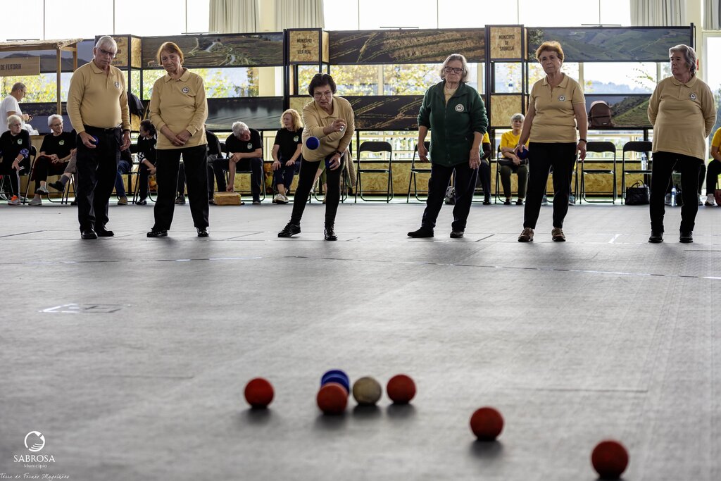 Torneio de Boccia em Sabrosa Promove Desporto Sénior e Destaca Equipas Locais