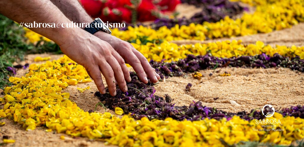 Sabrosa Celebra Mais um Ano a Tradição das Passadeiras em Flor