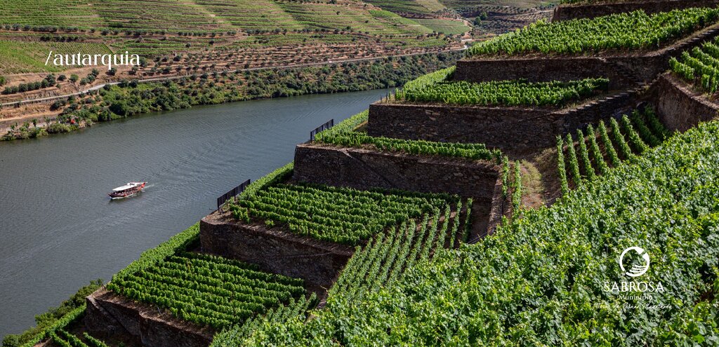 Proposta de “Regulamento Municipal de Incentivo e Apoio aos Viticultores do Concelho de Sabrosa” ...