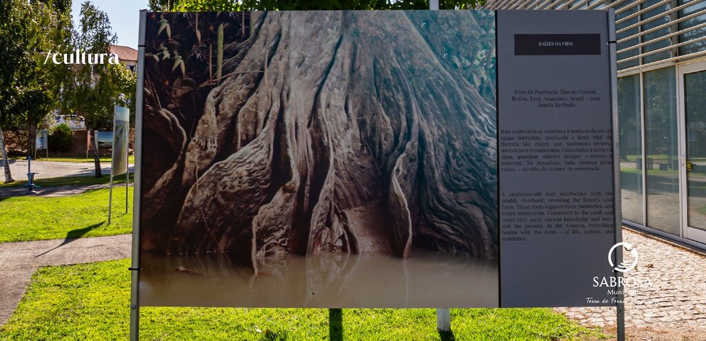 𝗘𝗫𝗣𝗢𝗦𝗜𝗖̧𝗔̃𝗢 𝗙𝗢𝗧𝗢𝗚𝗥𝗔́𝗙𝗜𝗖𝗔 𝗩𝗘𝗥𝗔𝗠𝗔𝗭𝗢̂𝗡𝗜𝗔 - 𝗢𝗟𝗛𝗔𝗥𝗘𝗦 𝗖𝗥𝗨𝗭𝗔𝗗𝗢𝗦 𝗘𝗡𝗧𝗥𝗘 𝗔𝗠𝗔𝗭𝗢́𝗡𝗜𝗔 𝗘 𝗣𝗢𝗥𝗧𝗨𝗚𝗔𝗟