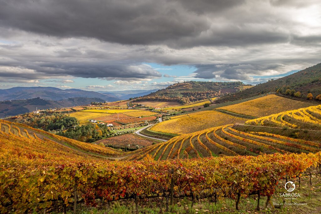 CANDIDATURAS ABERTAS PARA PEQUENOS INVESTIMENTOS NA EXPLORAÇÃO AGRÍCOLA