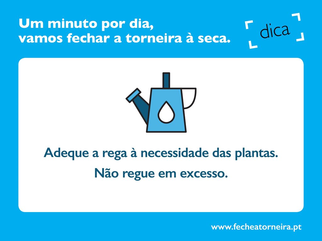 Dica_4_-_N_o_regue_em_excesso-min