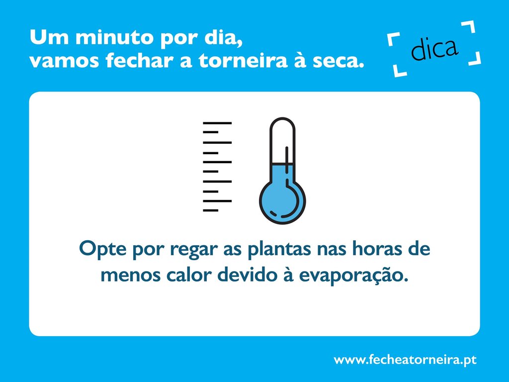 Dica_11_-_Regue_as_plantas_nas_horas_de_menos_calor-min